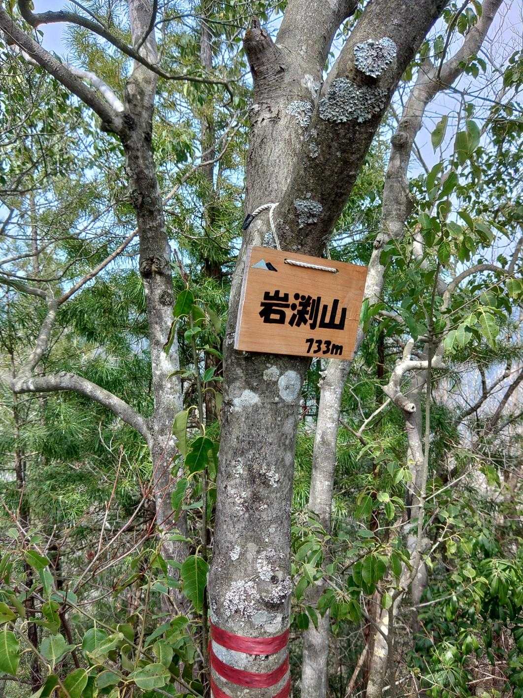 やっと岩渕山💦