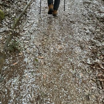 白いのは雪です