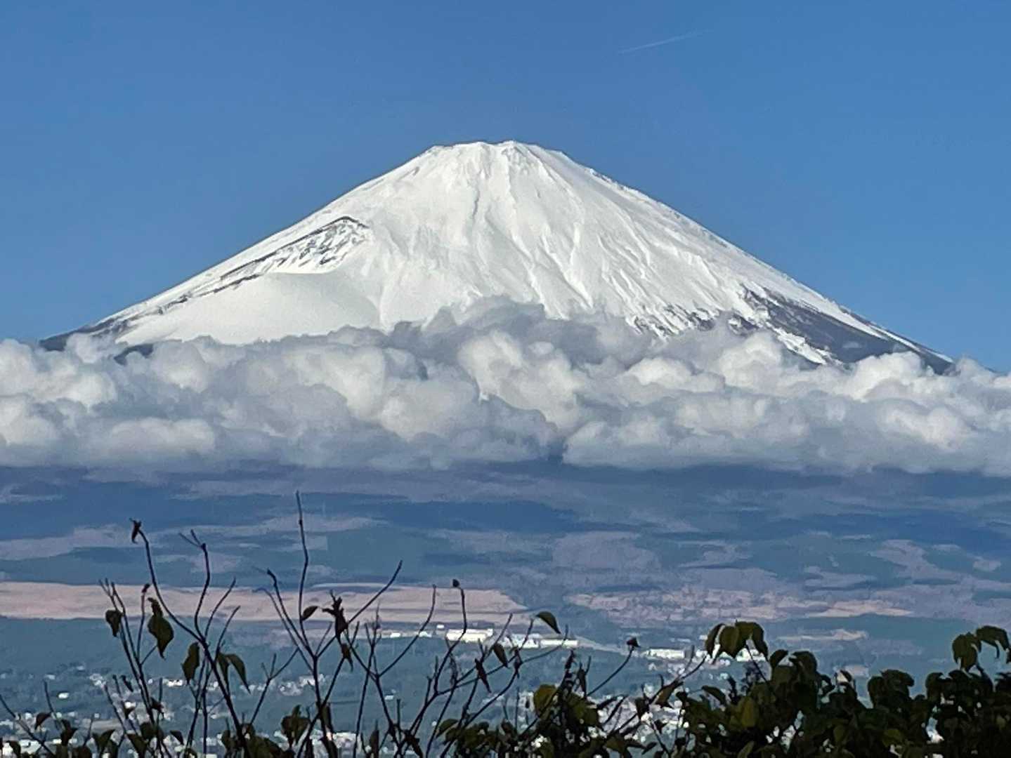 富士山、真っ白で綺麗✨