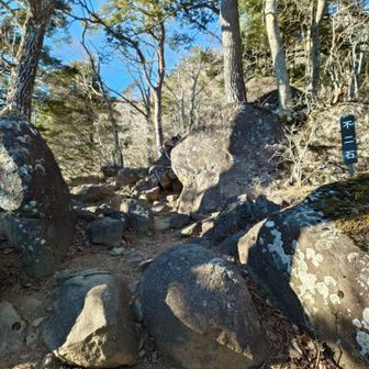 初めは岩々ゾーン