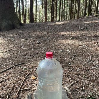 一休み😮‍💨