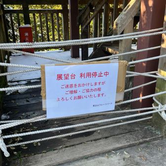 展望台は利用停止中、雪降ったので今日だけかな？一年前の年末は登れたよ、景色が良いんだけどな〜、残念