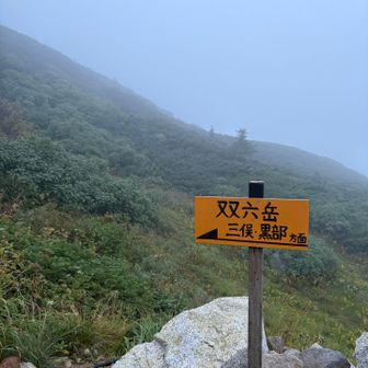 キリ…とりあえず登ってみます
