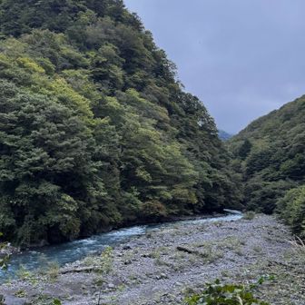ひたすら林道を歩きます

ゲートに自転車侵入禁止となってましたが、スケボーなら平気なの？🤭