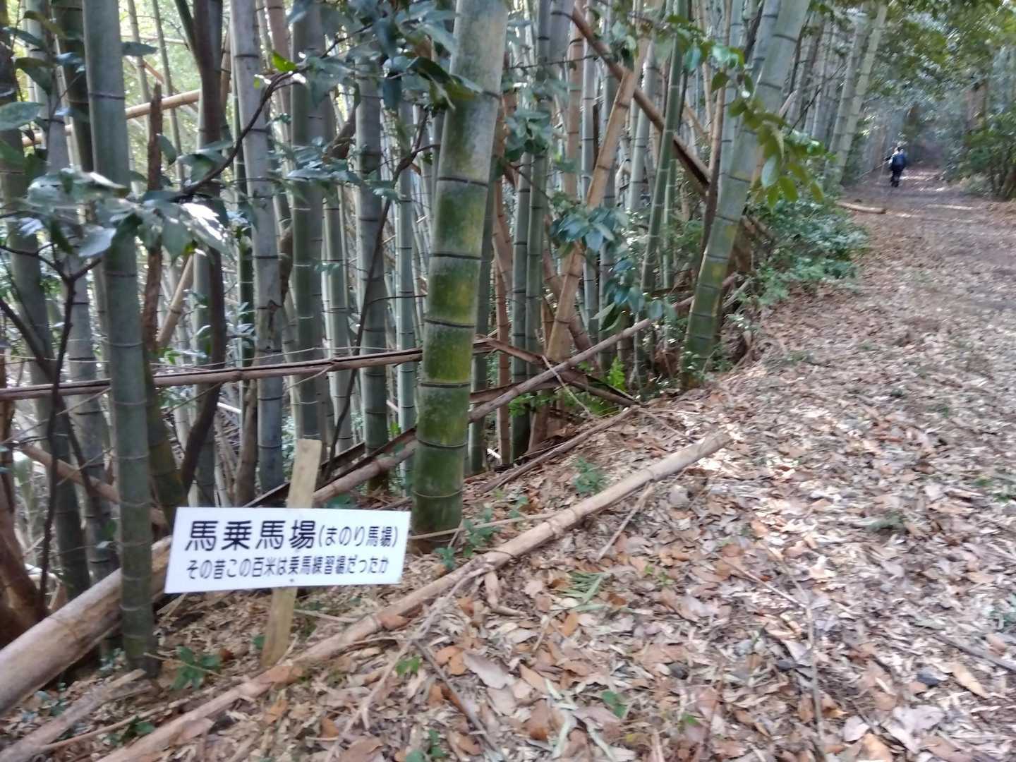 朝日山近くにお住まいのご夫婦
たまには違う山へ来てみたと