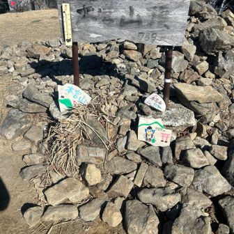 本宮山山頂　789m