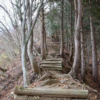 ソッコー急登www (;ﾟ;ж;ﾟ;)ﾌﾞｯ

物見峠 『峠』と三峰山『峰』なんだから…
そりゃ〜そうだ。笑
