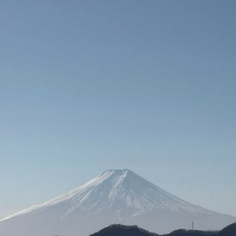 ずっと眺めてしまう🤣