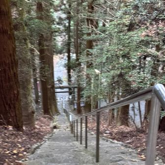 軍刀利神社⛩️
階段を登りきって振り返ったところ