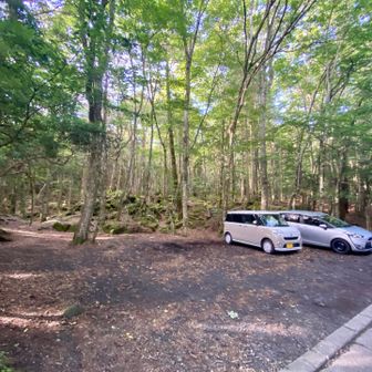 朝7時前、大室山登山口駐車場。まだ2台。