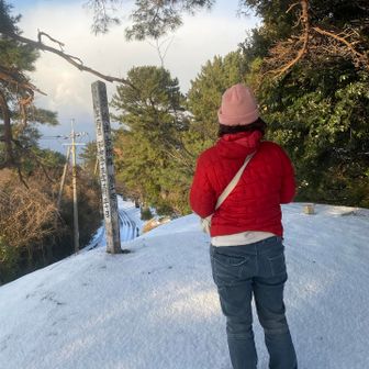 ココも古墳みたい