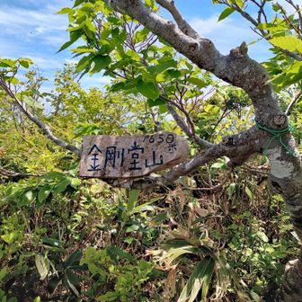 中金剛堂山
ここがいちばん高いようですが、小さい看板があるだけ