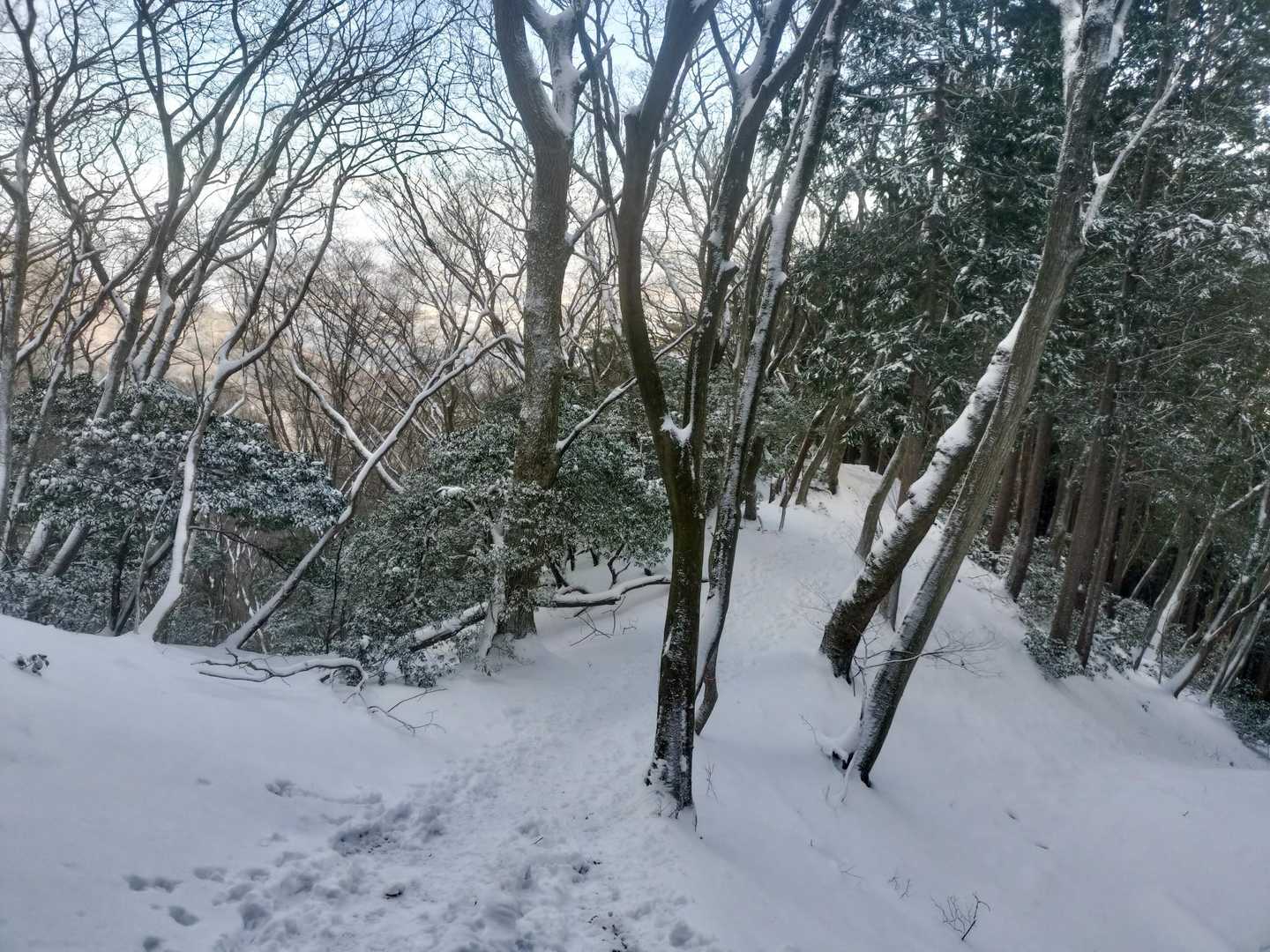 三方岩より下は青空
