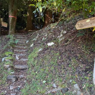 登山口