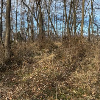 ピーク☝️らしい