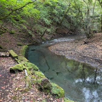 川も透き通ってる