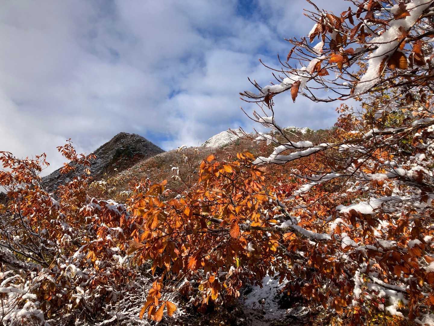 赤頭山までにしときましょ