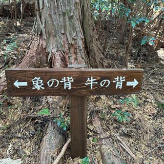 ん？　牛の背てあったっけ？