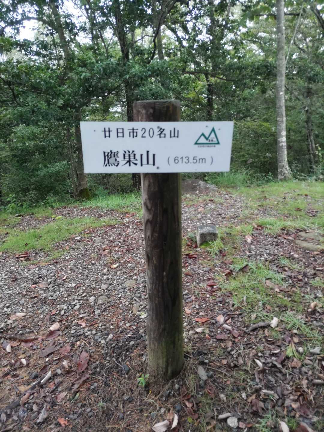展望ゼロのピークゲット⛰
山頂付近は何故かメマトイゼロ🦟で快適✨
