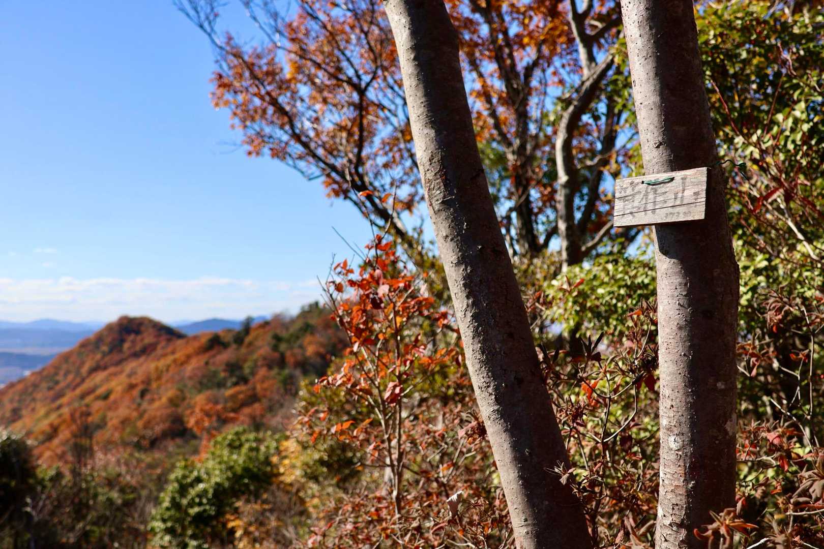 こちらにも山名板✨✨