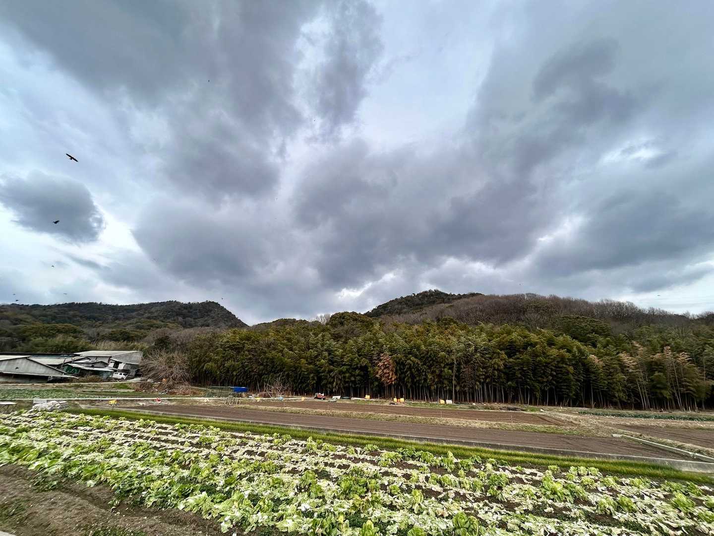 歩いた山を眺めて