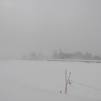 田ノ原。風ビュービュー