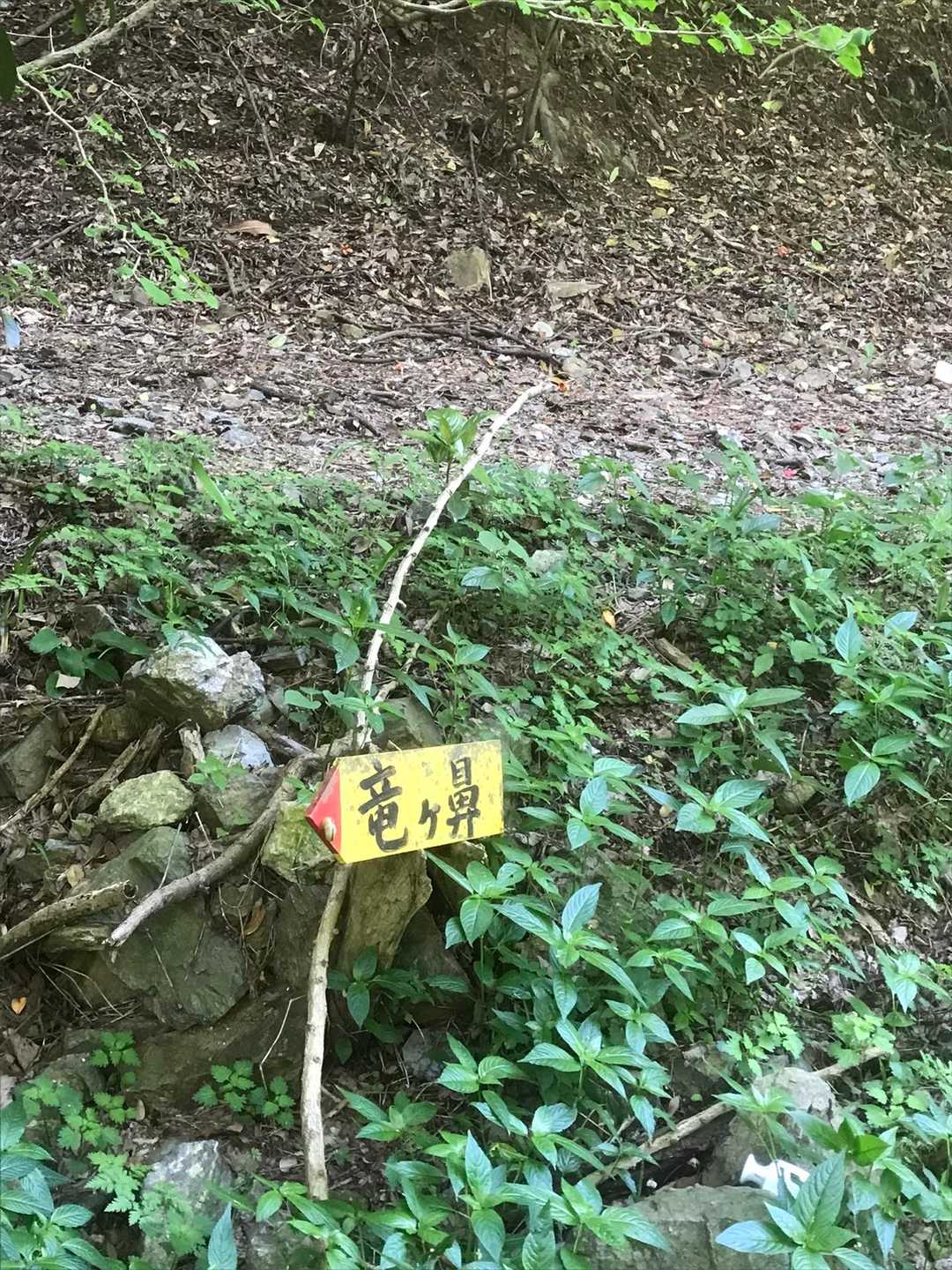 竜ヶ鼻取り付き。この道標を見逃して、初めて来た時1時間くらい山中をさまよい歩いてた😩
