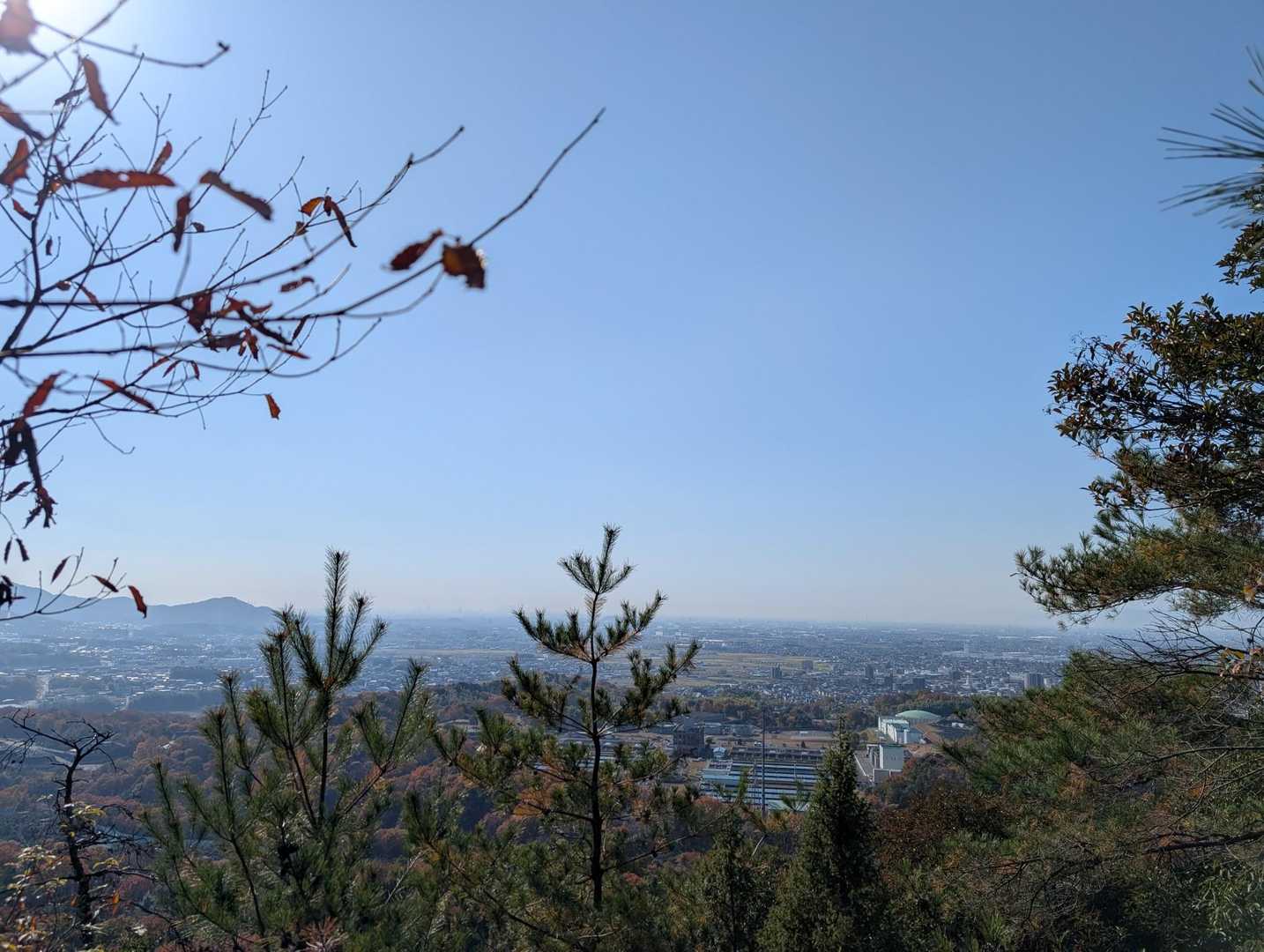景色が見えてきた