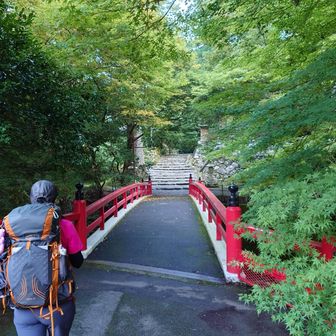 初めて来たときもこのルートだった
記憶が蘇る
