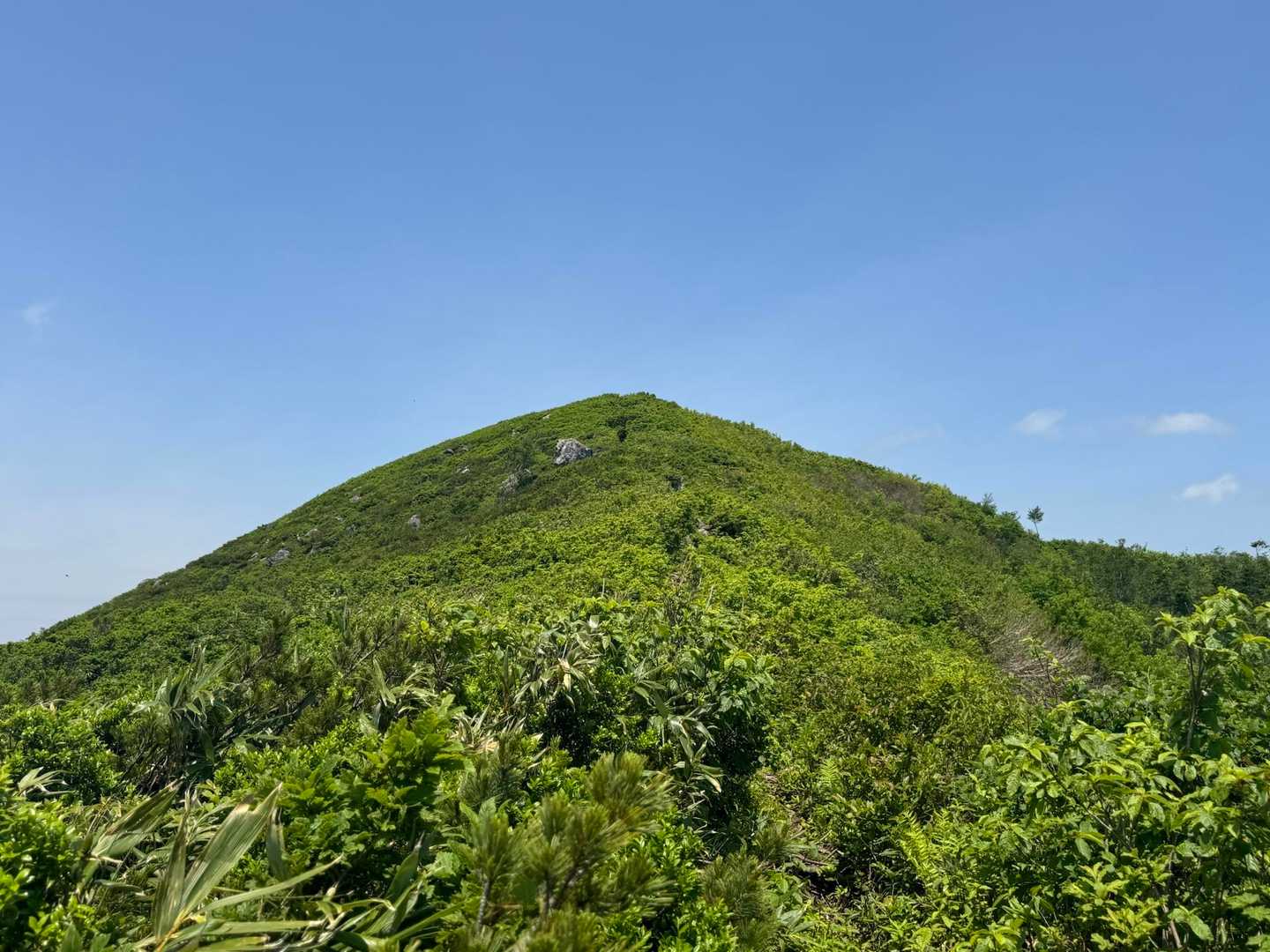 さぁ、がんばって登りますよ