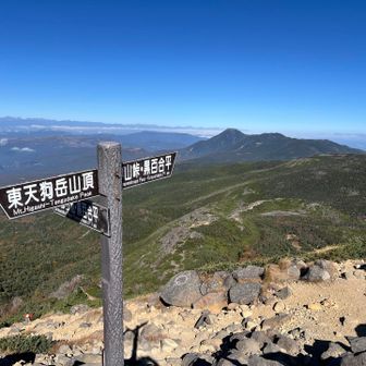 下山します
天狗岳、眺望最高で気持ち良いお山でした