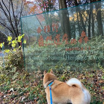 無事帰れました