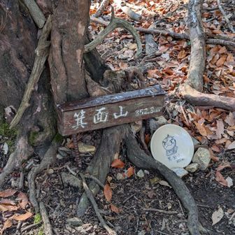 少し横路に入って
ボーっとしてると
入り口
見落とします🙂