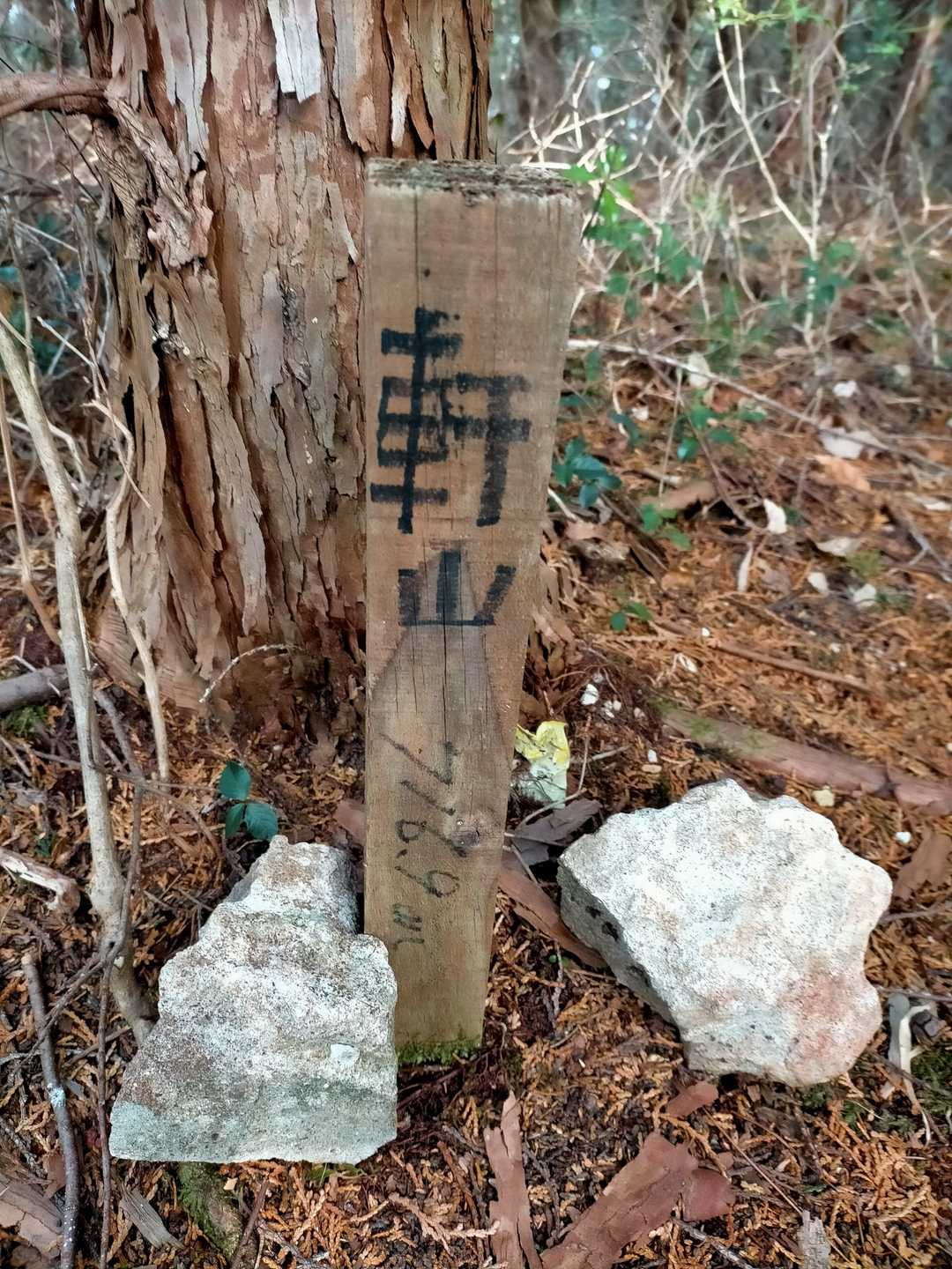 軒山の写真