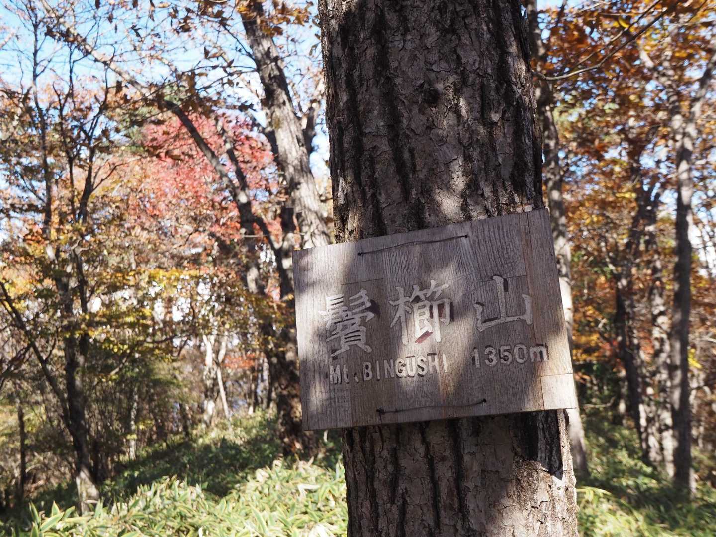 鬢櫛山