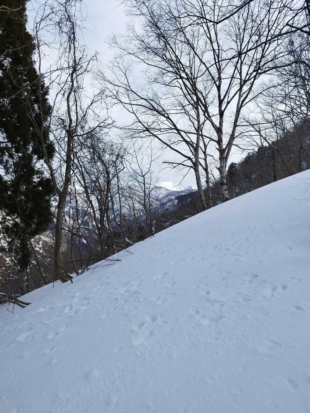 真っ白のお山は大笠山🏔️