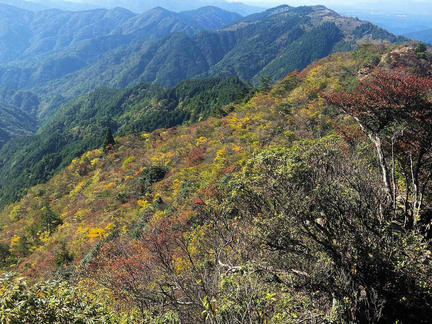 染まりかけの山肌。