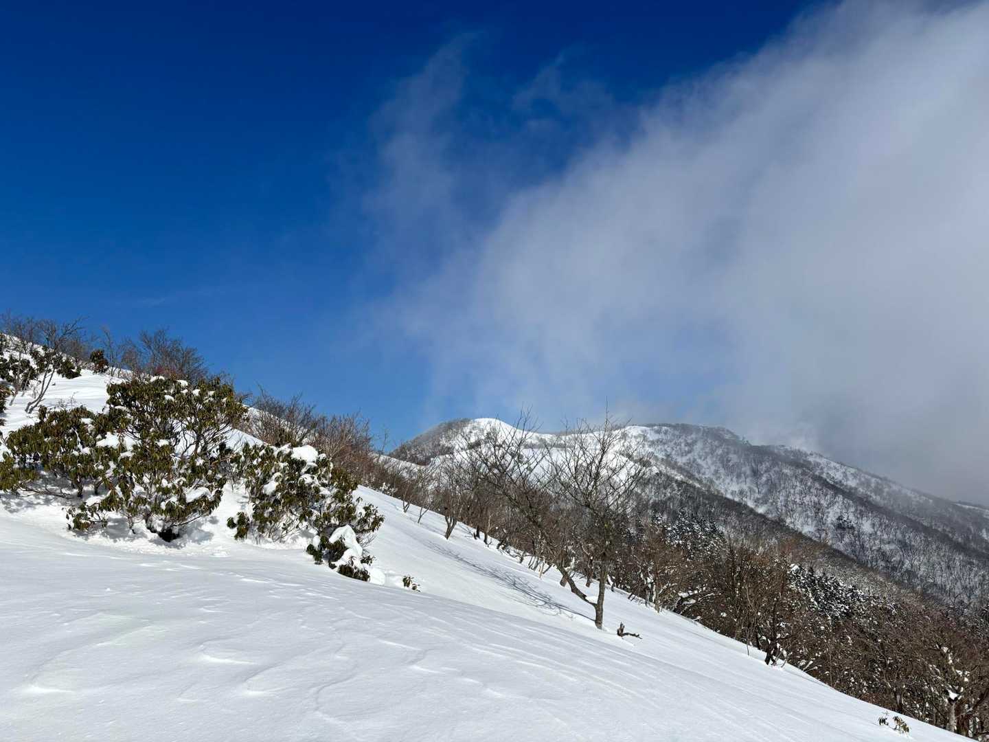 那岐山が現れた😊
