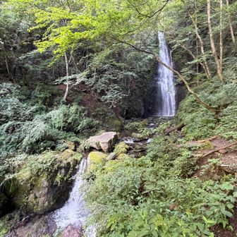 見えてきました、百尋ノ滝💧(奥)
手前は小滝⁈😅