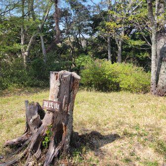 ピーク以外興味ねえ。最高速度でアガッてけ。