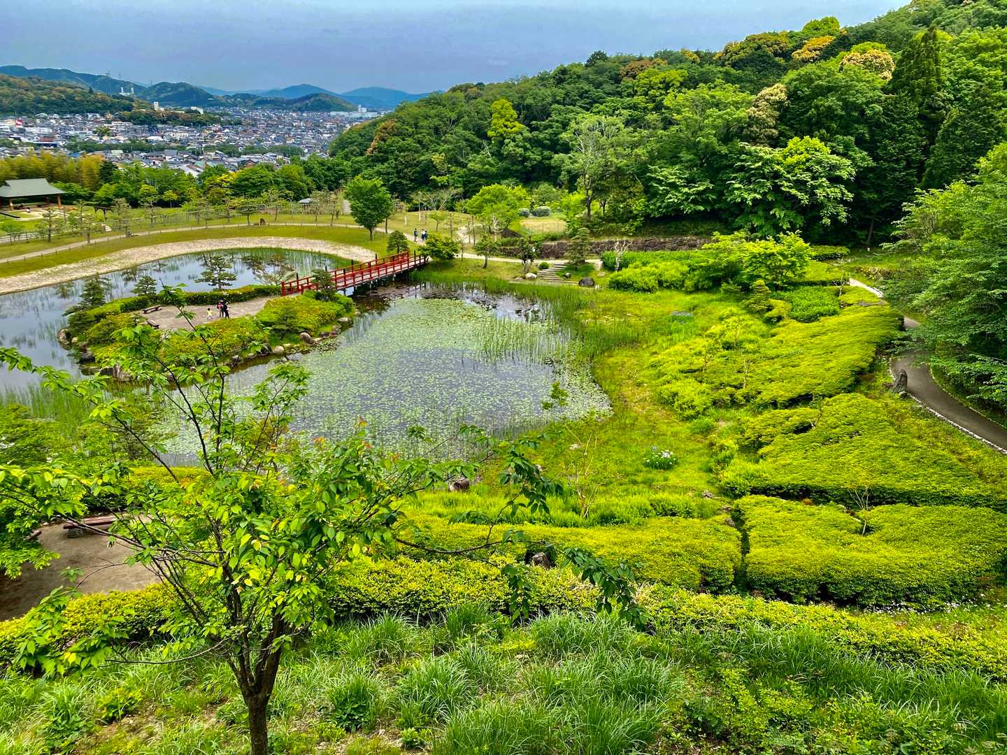 修景庭園📸