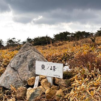登山道から少し外れて東ノ峰。