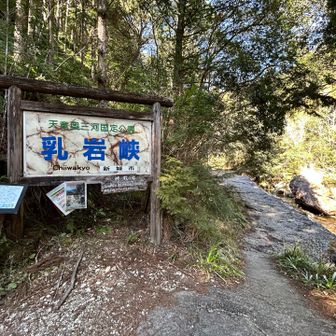 やっとここまで帰って来ました。

右足は痛いが、そんなに疲れてない。もう一周行けそうな感じ。言い過ぎか(笑)