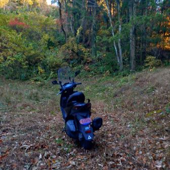 大山峠近くに、バイクを止めてた場所に到着しました💨

良い事を、した後は気持ち良いですね
楽しい１日でした。
お疲れさまでした。