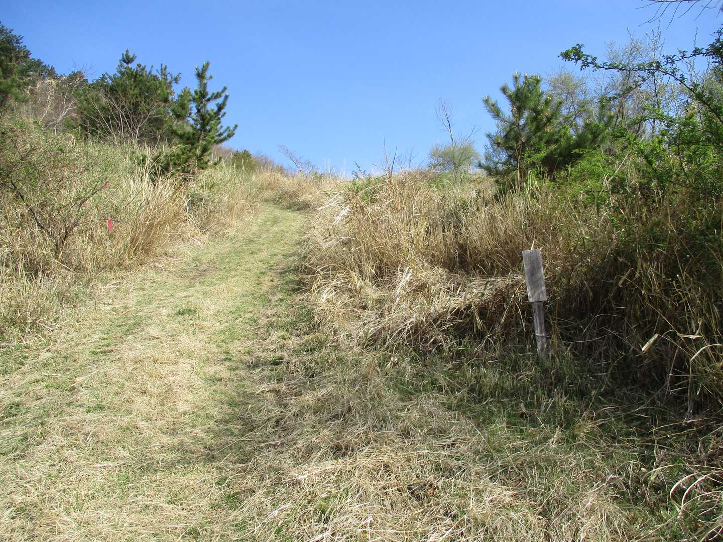 舗装路終点です。ここまで車🚗できました。ここから登ります🥾