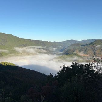 ここで雲海雲みられたー
よかった