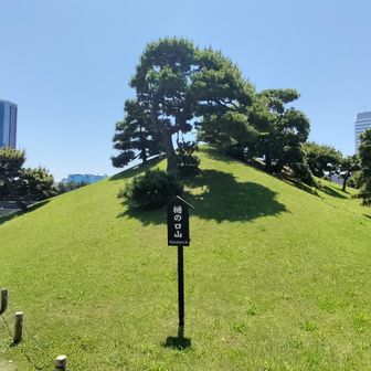 こちらは元祖？”樋の口山”。ただし登れません。