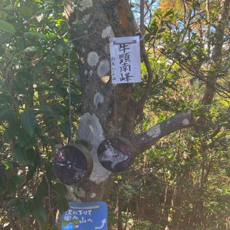 牛頸南峰またの名がハート山
振り向くと可愛い🩷が😍