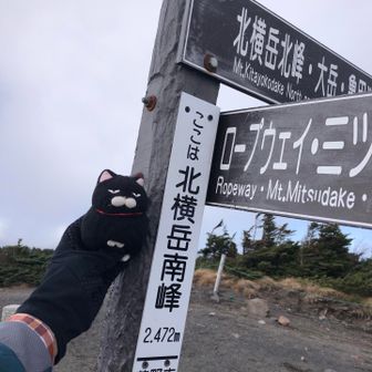 ゴンちゃん記念撮影。