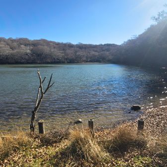 透明でブルーでびっくり
天城ブルーね
この時間じゃないと見れない
逆ルートじゃなくて正解かも